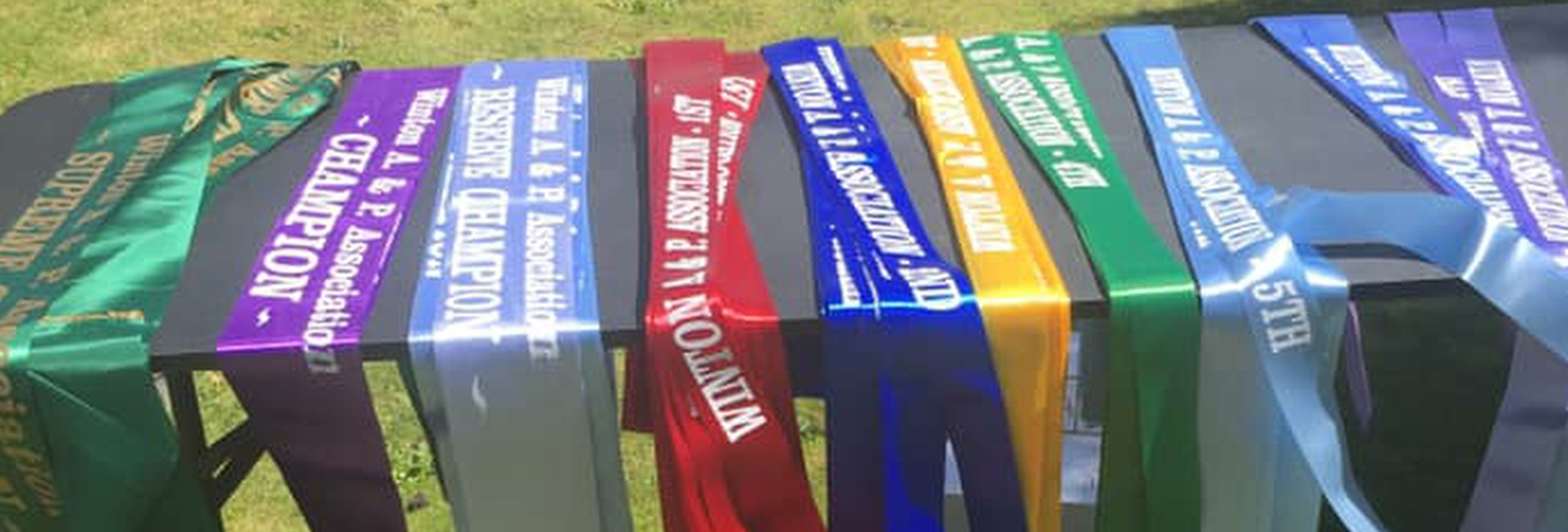 Winton A & P Show ribbons
